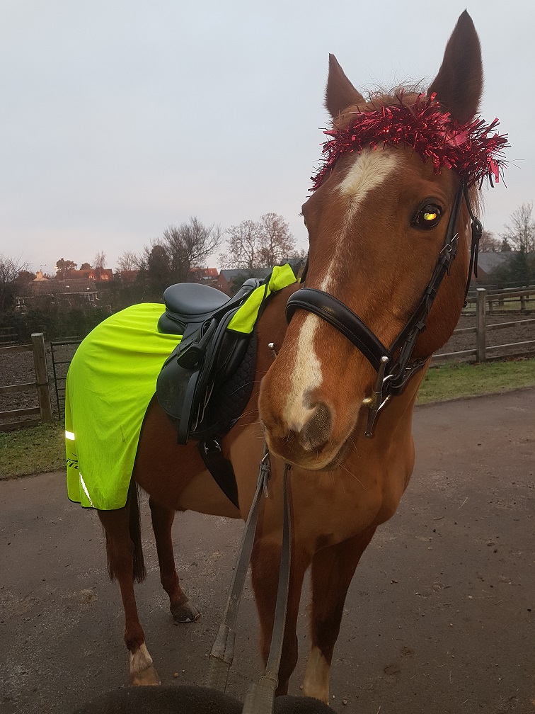 Autumn working the tinsel