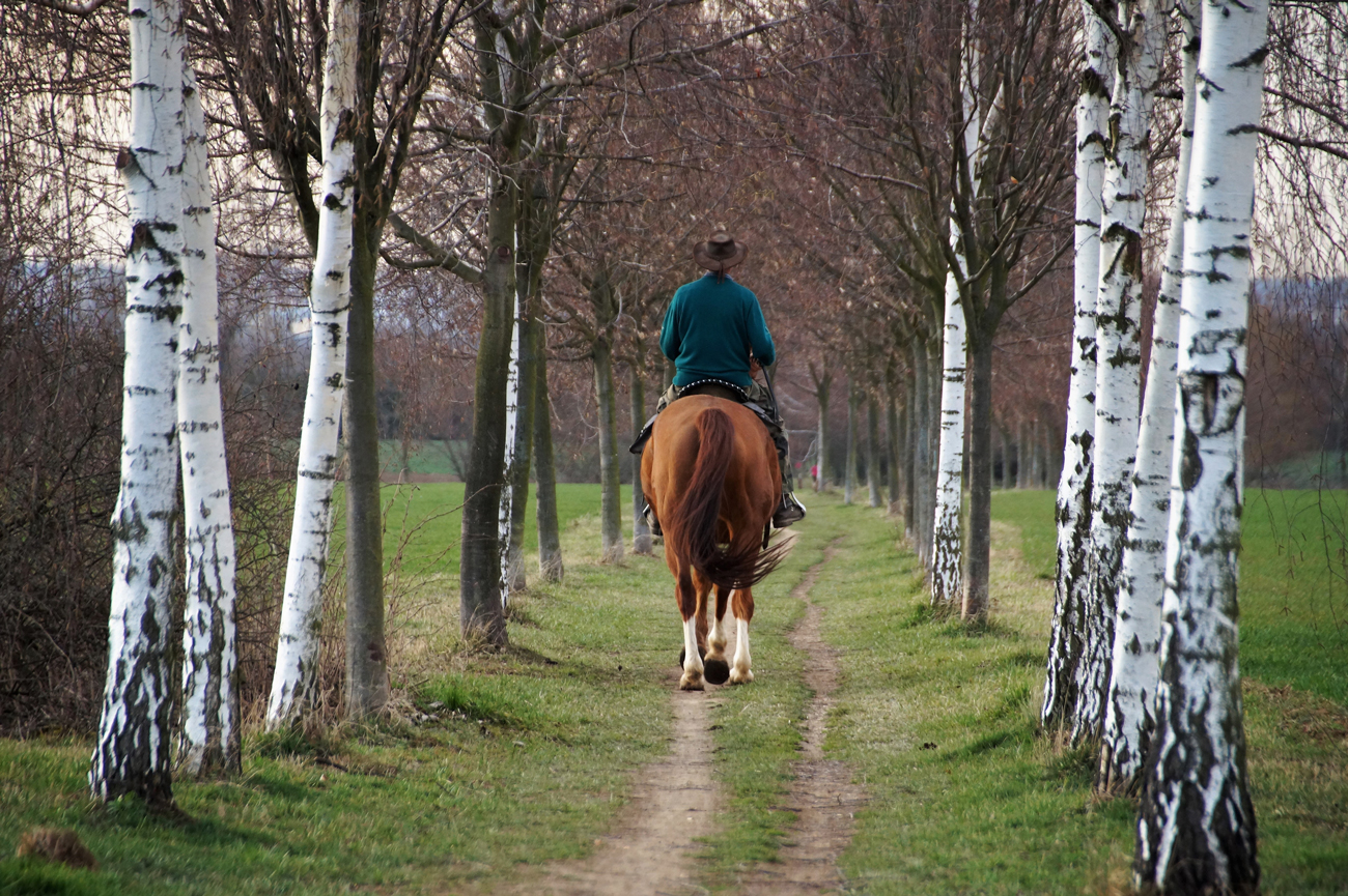 A happy hacker on a country track through a field