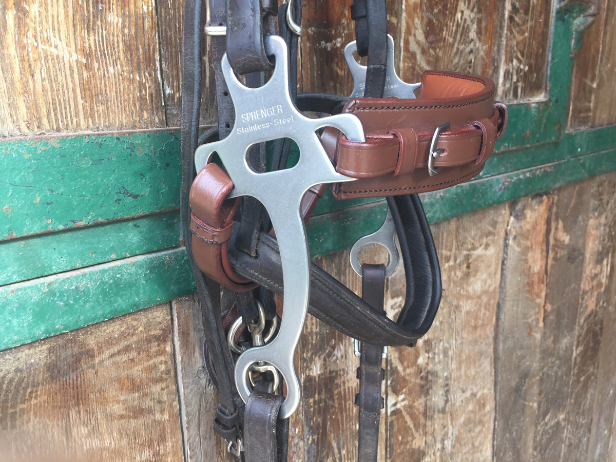 A hackamore hung up on a hook in a stable