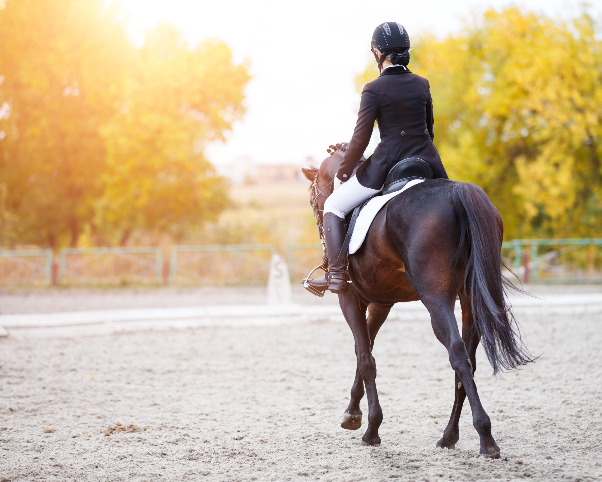 A horse rider breaking a horse