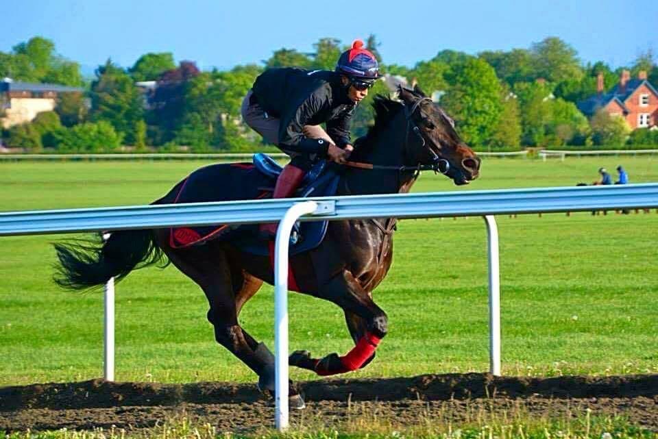 Jordan riding his horse at a fast pace around a race course