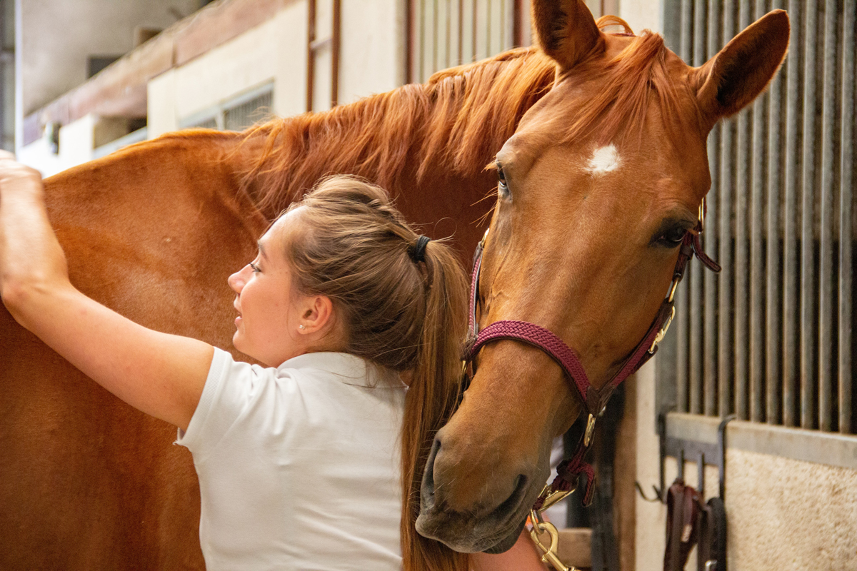 A girl brushing her horse outside of its stables