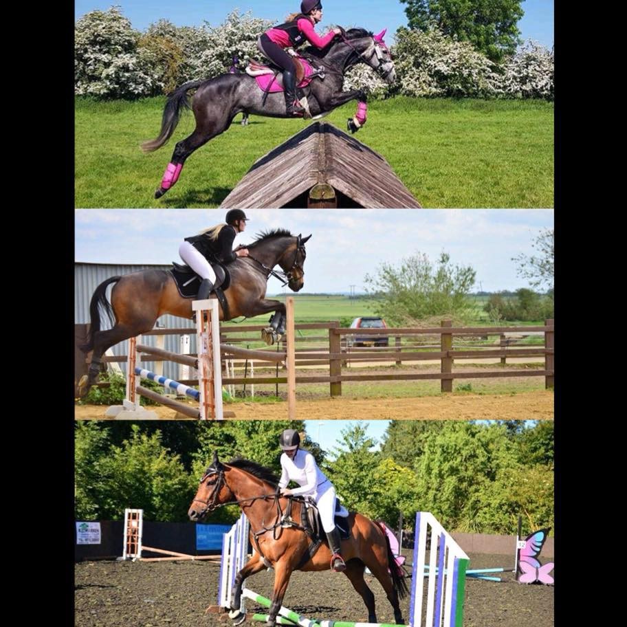 Three images of Annette and her horse jumping different fences