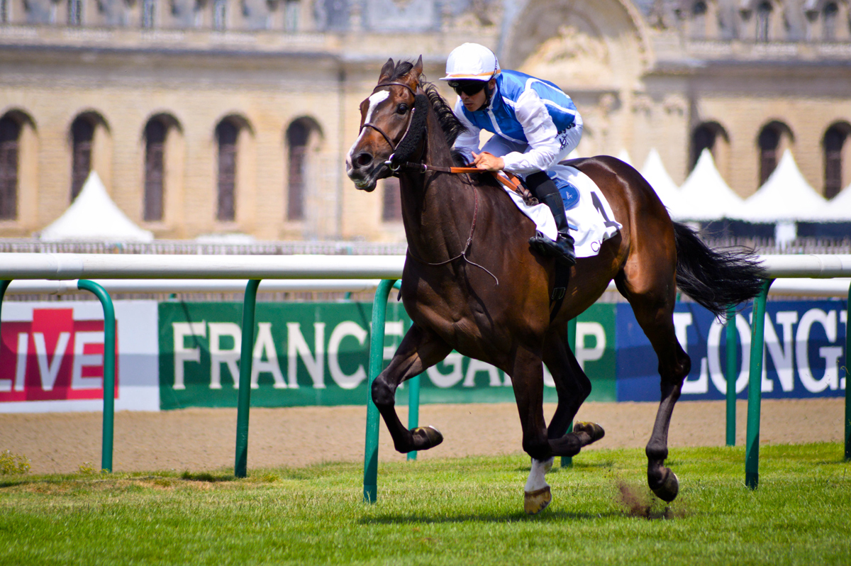 A jockey riding a horse around a race track