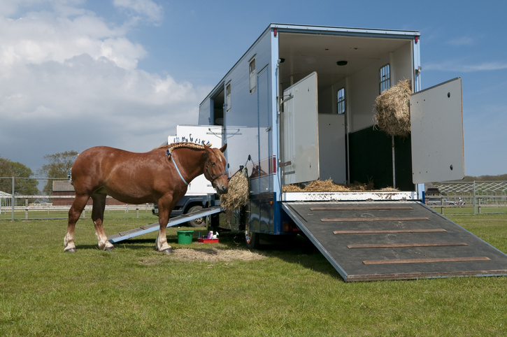 Horse trailer