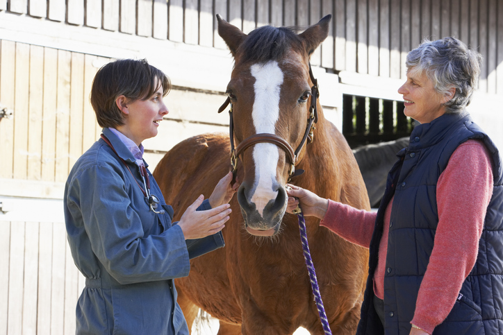 Horse and owner