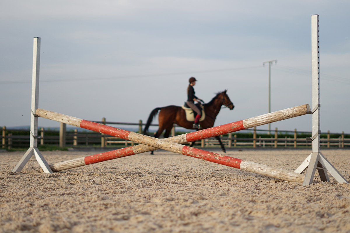 A horse and rider trotting behind a cross pole fence