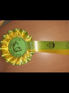 Easter riding ribbon