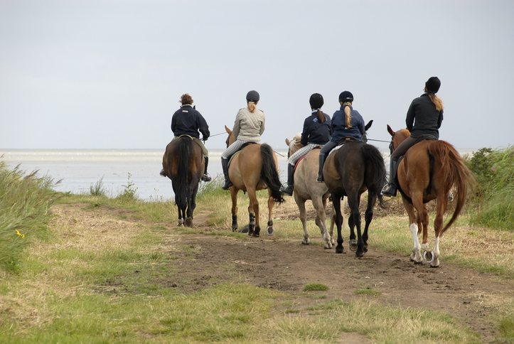 A group of happy hackers out on a hack by the sea