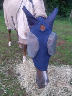 Fly Mask